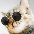 CAT EYE SUNGLASSES