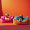 DOG BEDS