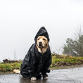 RAINCOATS FOR PETS