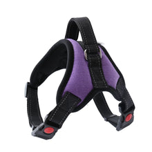 Pet Walking Harness Adjustable Comfort