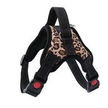 Pet Walking Harness Adjustable Comfort