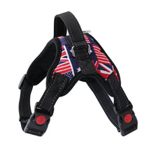 Pet Walking Harness Adjustable Comfort